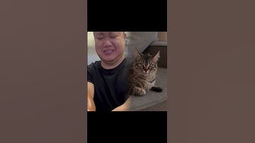 ClicBot: The Unexpected Helper