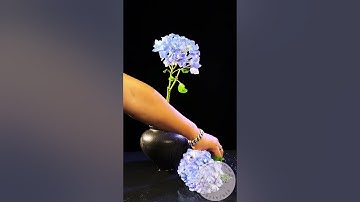 🔹 Hướng Dẫn Cắm Hoa Cẩm Tú Cầu Nghệ Thuật - Biến Không Gian Nhà Bạn Thành Thiên Đường Hoa 🌸