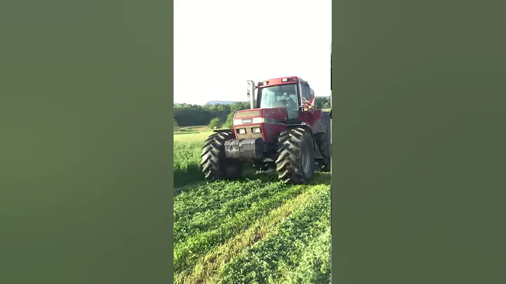 Mowing hay