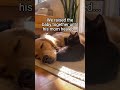 Should i keep them both? #animals #wholesome