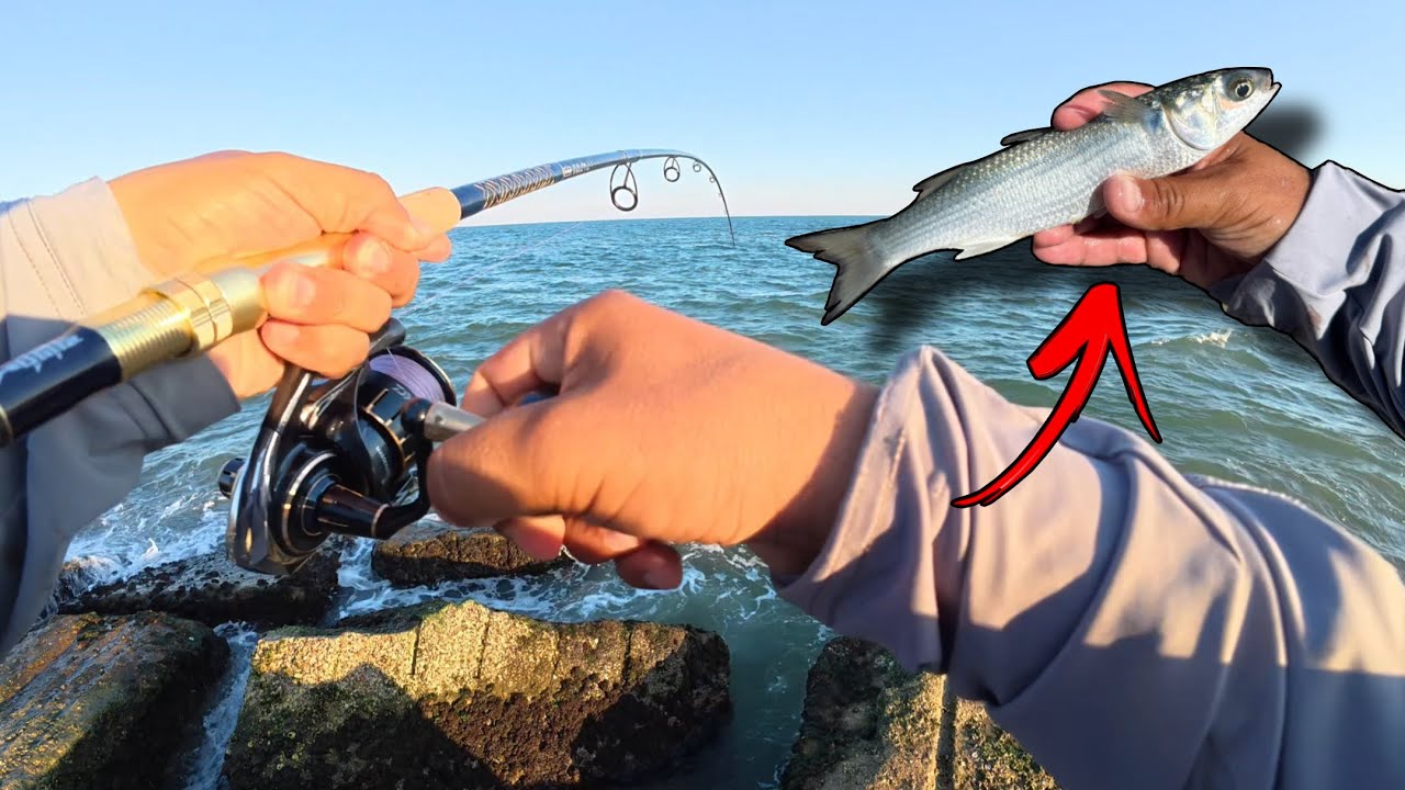 Jetty Bite Was on FIRE… But Everything Went Wrong