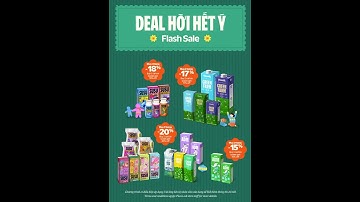 FLASALE 8/12 -  9/12