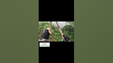 Bắn cá rô cự ly 30m #fishing #banca #sungbanca #nobanca #nabanca