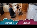 Sylwia i Romek Odc 39 Malowanie Kuchni Wyjazd Do Dublina oraz Rozgrywka Piłkarska Irlandia