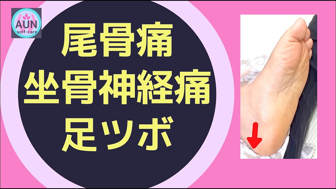 足ツボ 尾骨痛 坐骨神経痛 下腹部の異常にオススメの足もみ Youtube