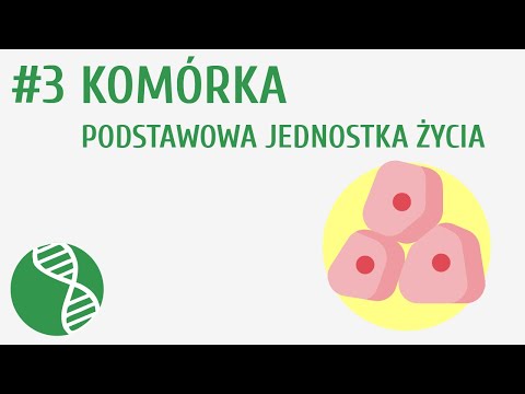 Wideo: Jaką funkcję mają wszystkie komórki?