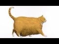 Chonk chart