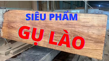 Trực tiếp nhận biết sập gỗ gụ lào lúc xẻ mộc, Chiếu ngựa nguyên khối Gụ Lào | Nguyễn Văn Cương