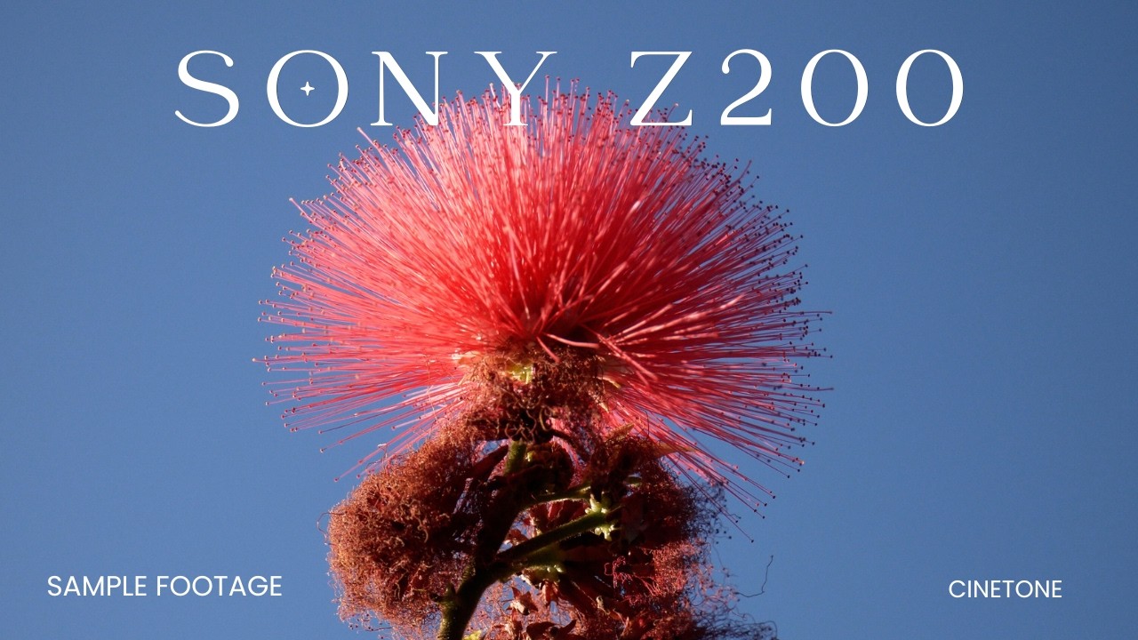 Sony Z200/NX800 Cinetone Footage: Birds and Flowers in 4k