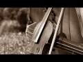 Ravel: Sonata for violin & cello in C major (Renaud Capuçon & Gautier Capuçon)