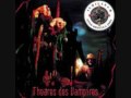 Theatres Des Vampires - Blut Divine