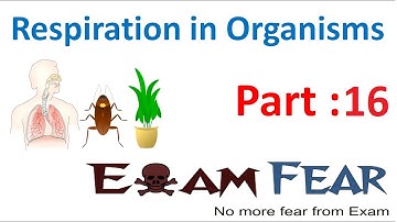 Biology Respiration in Organisms Part 16 (Why we sneeze, yawn) Class 7 VII