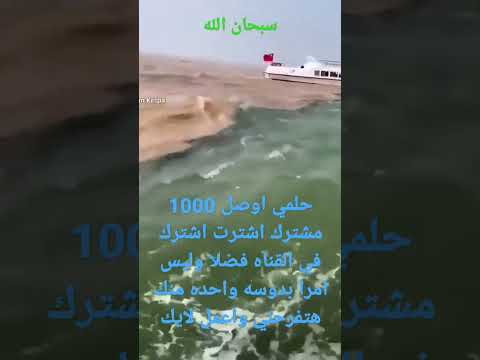 حلمي اوصل 1000مشترك بدوسه واحده منك هتحقق حلمي لو اشتركت في القناه اكتب 99 في تعليق