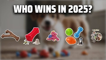The Top 5 Best Indestructible Dog Toys in 2025 - Must Watch Before Buying!