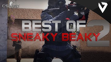 CS:GO - Best of Pro "Sneaky Beaky" 2