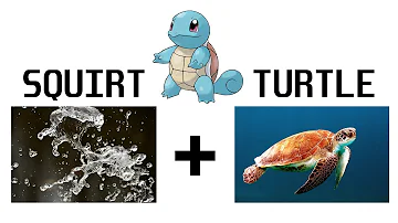Cosa vuol dire Pikaciú?