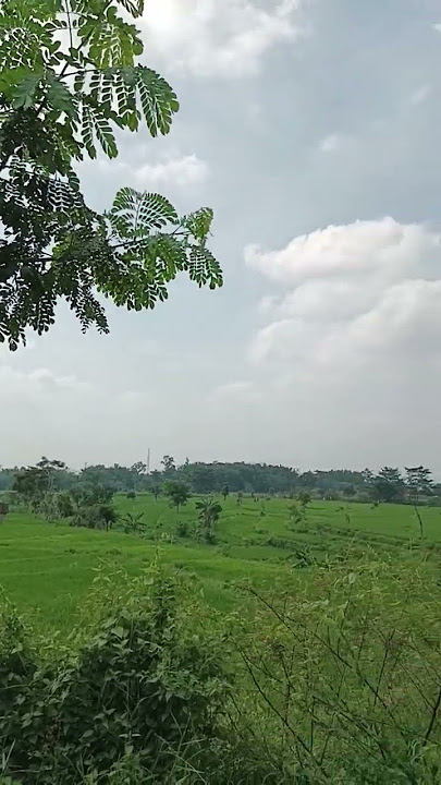 lestari alamku