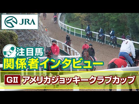 【注目馬 関係者インタビュー】2024年 アメリカジョッキークラブカップ｜JRA公式