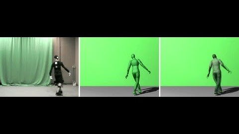 Motion Capture Walk