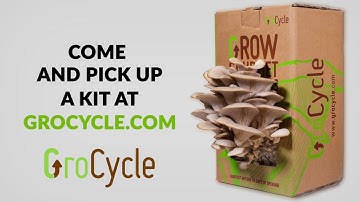 GroCycle Mushroom Kit Timelapse Video | GroCycle