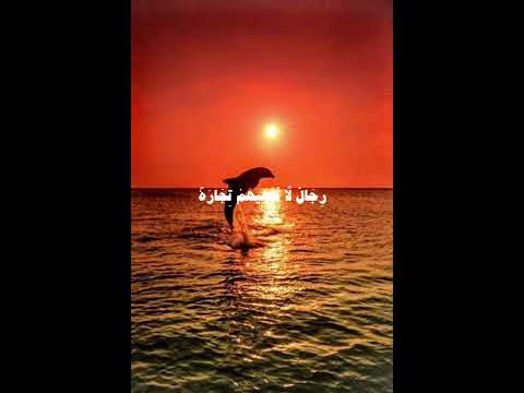 في بيوت أذن الله أن ترفع ويذكر فيها إسمه قرآن كريم القارئ عمر ضياء الدين 