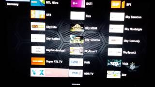 Tiger I3000 Andriod + Sat Receiver with RoyalIPTV screenshot 4