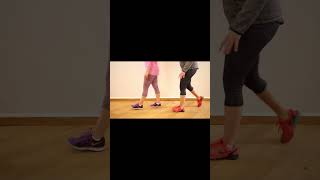 Split Squat with Wall and Pelvic-Floor Contraction Part 1