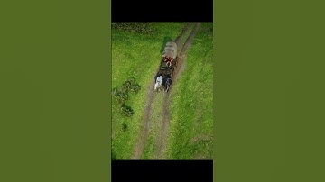 Western Frontier Ambience | RDR2 Horse Carriage Delivery