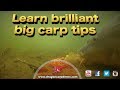 Brilliant carp tips and action