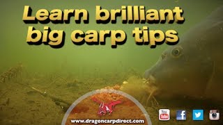 Brilliant carp tips and action