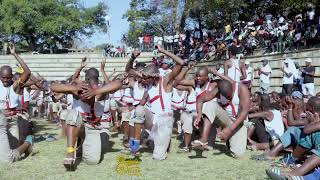 Umshoshaphansi ezikaPhushamoya I Ulundi Cultural Festival l 11 July 2025