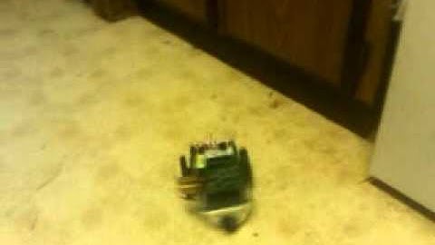 Boe-Bot with whiskers