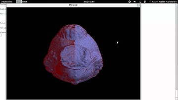 Igea Model - Implicit Surface Reconstruction