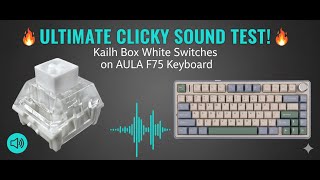The CLICK King? Kailh Box White Sound Test on AULA F75 | Best Budget Clicky Switch?