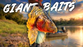 Using GIANT Carp Chunks To Catch RIVER MONSTERS!