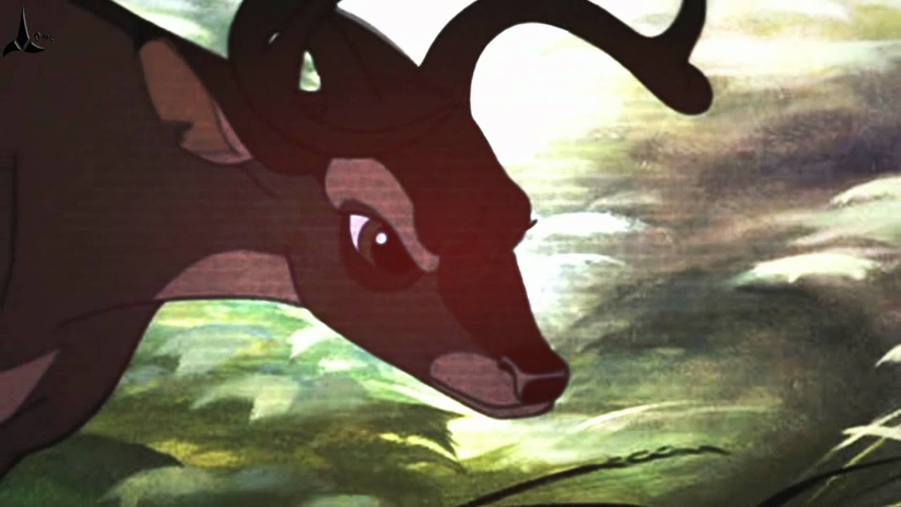 Animash ~ Eye of the Tiger .::★ TGS 1st MEP ★::.