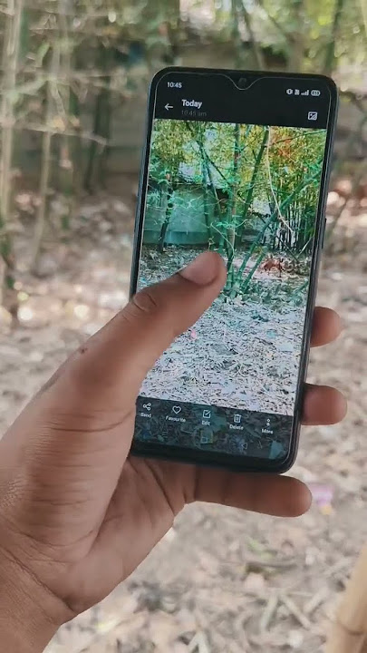 Realme C2 Pro camera test #shortvideo #trending #vairalvideo #ytshorts #ytshorts #youtubeshorts