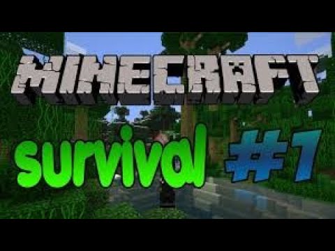 Minecraft Survival #1 სად ჯანდაბაში ვარ