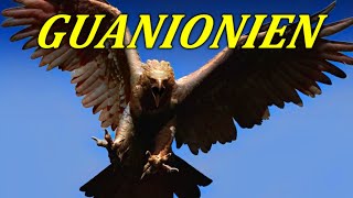 Guanionien - Águila gigante del Congo - Criptozoología