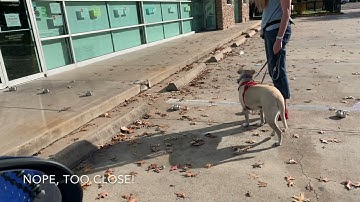 Super Bowls pattern game