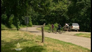 Različite Reakcije Na Naplatu Ulaska U Frušku Goru