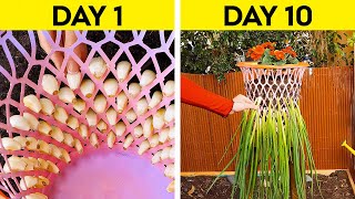 Valuable Gardening Hacks For Beginners And Pros ‍