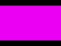 Magenta | #FF00FF