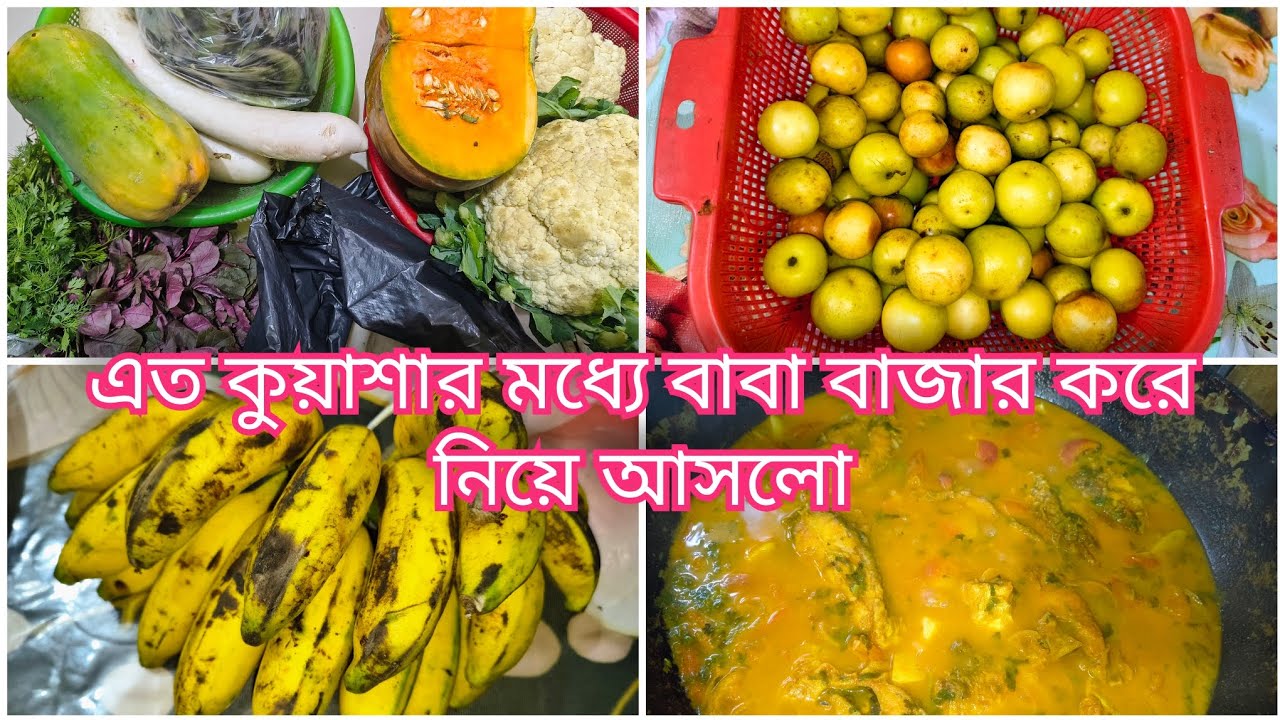 এত কুয়াশার মধ্যে বাবা বাজার করে নিয়ে আসলো |