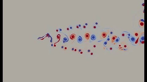 Undulatory swimmer near a wall: lattice Boltzmann simulation