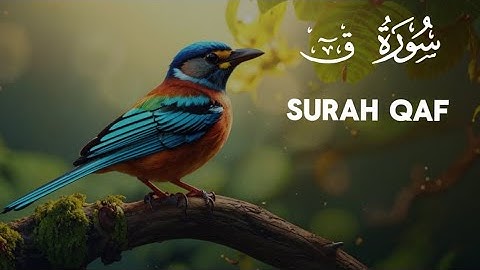 50 | Quran | Коран | Surah Qaf 10 times | سورة ق | Сура Каф 10 раз #quran #куран #коран #kuran