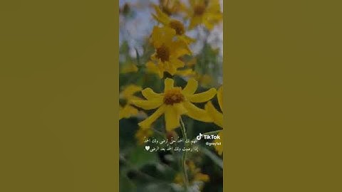 عبدالرحمن مسعد - سورة النحل