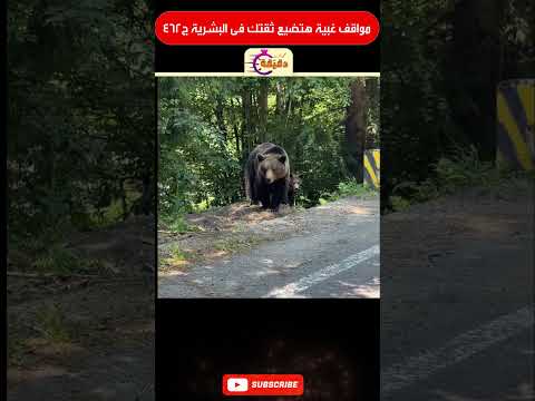 مواقف غبية هتضيع ثقتك فى البشرية ج462