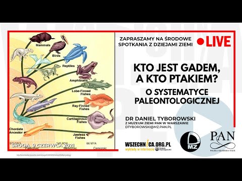 Wideo: Kto jest za jednym?