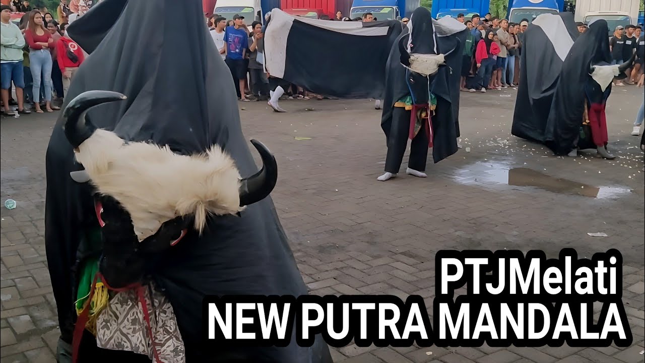 Bantengan new putra mandala feat PTJMelati live jurangsari lolawang ngoro